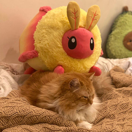 Cat with Rosy