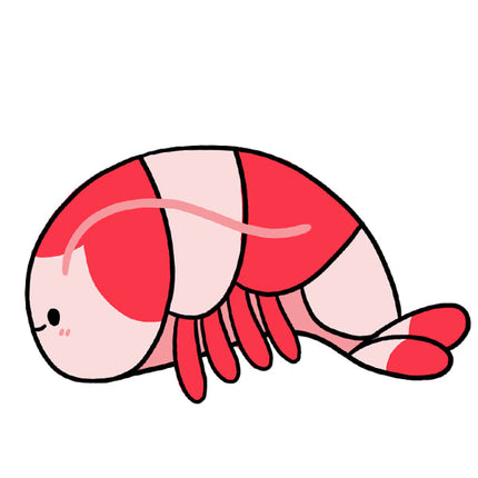 Mini Squishable Crystal Shrimp design illustration