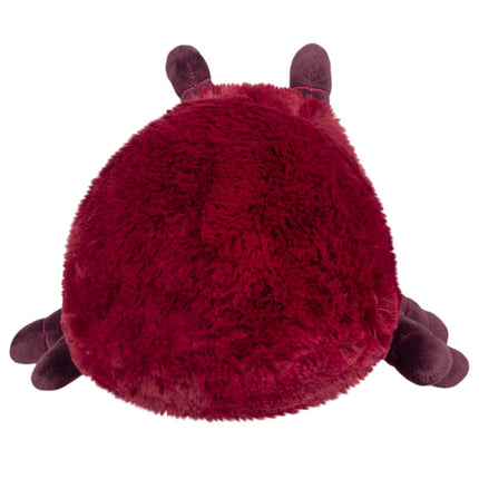 mini ant back image