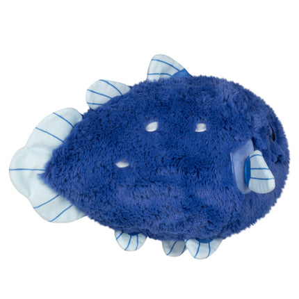 mini coelacanth side image