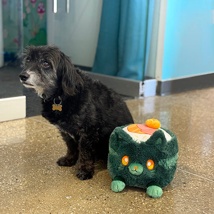 mini nori cat user photo