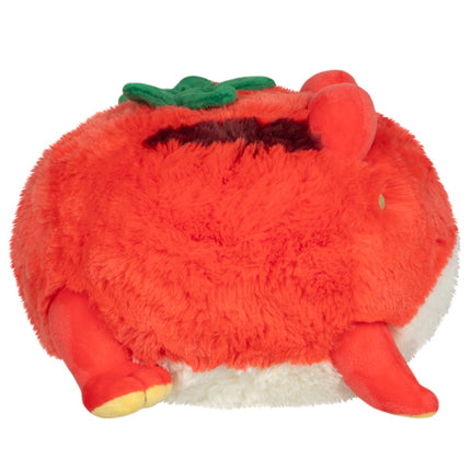 mini tomatoad side image