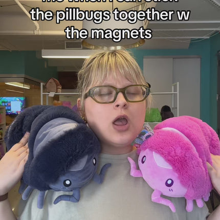 me when I can stick pillbugs together with magnets