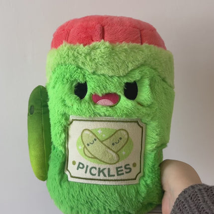 jar of pickles squishable video