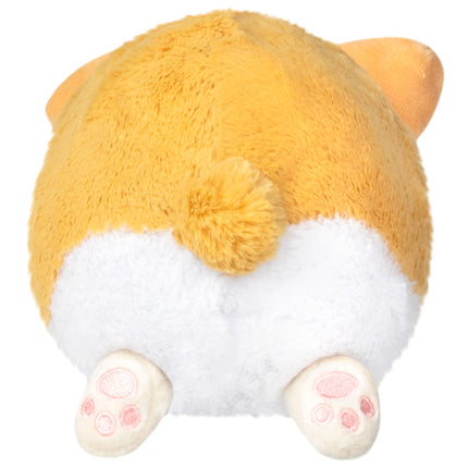 snacker baby corgi s1e4 back image