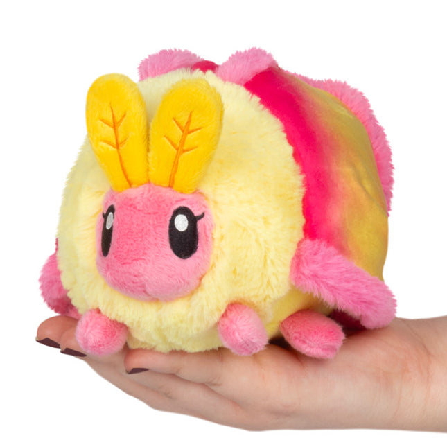 snacker rosy maple moth main image