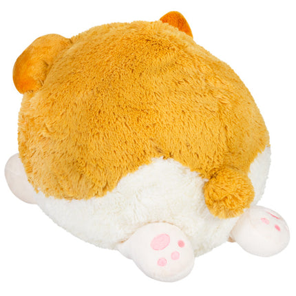 squish baby corgi 15 back