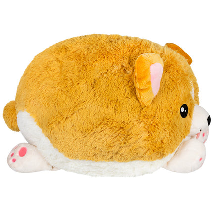 squish baby corgi 15 side