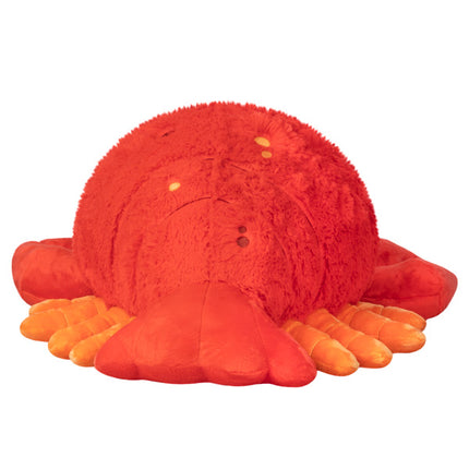 squish lobster 15 back