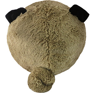 squish pug 15 back