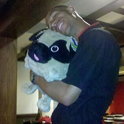 squish pug 15 user4