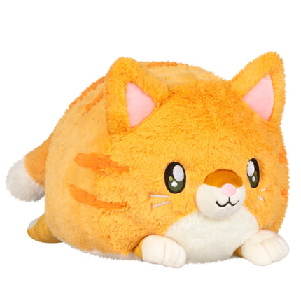 squishable kitty front image