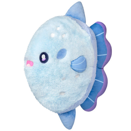 sunfish front view
