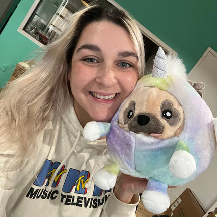 undercover pug alicorn 7 user1